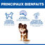 Hill's Science Plan - Croquettes Adult Light Small & Mini Pour Petit Chien Au Poulet  -  1,5kg Indicateur image num&eacute;ro 8