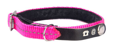 Bobby - Collier Lost Rose pour Chat