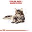 Royal Canin - Croquettes Maine Coon pour Chat Adulte - 10Kg Indicateur image numéro 2