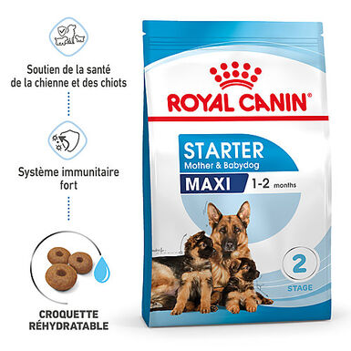 Royal Canin - Croquettes Maxi Starter Mother & Babydog pour Chiot