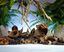 Eublepharis - Gousses Naturelles Bio-Active Tropical Kit - x40 Indicateur image numéro 4