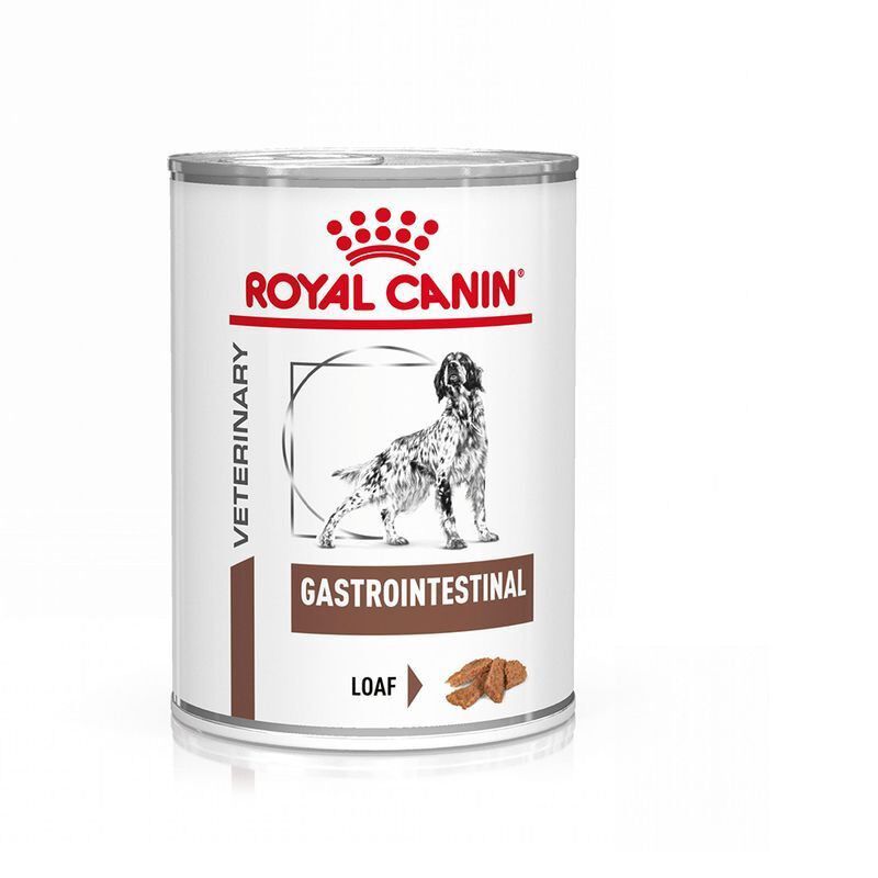Royal Canin - Pat&eacute;e Veterinary Diet Gastrointestinal Pour Chiens - 12x400g Image num&eacute;ro 1