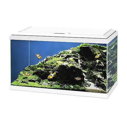Ciano - Aquarium 60 LED - Blanc - 60X30X33,5CM Image num&eacute;ro 2