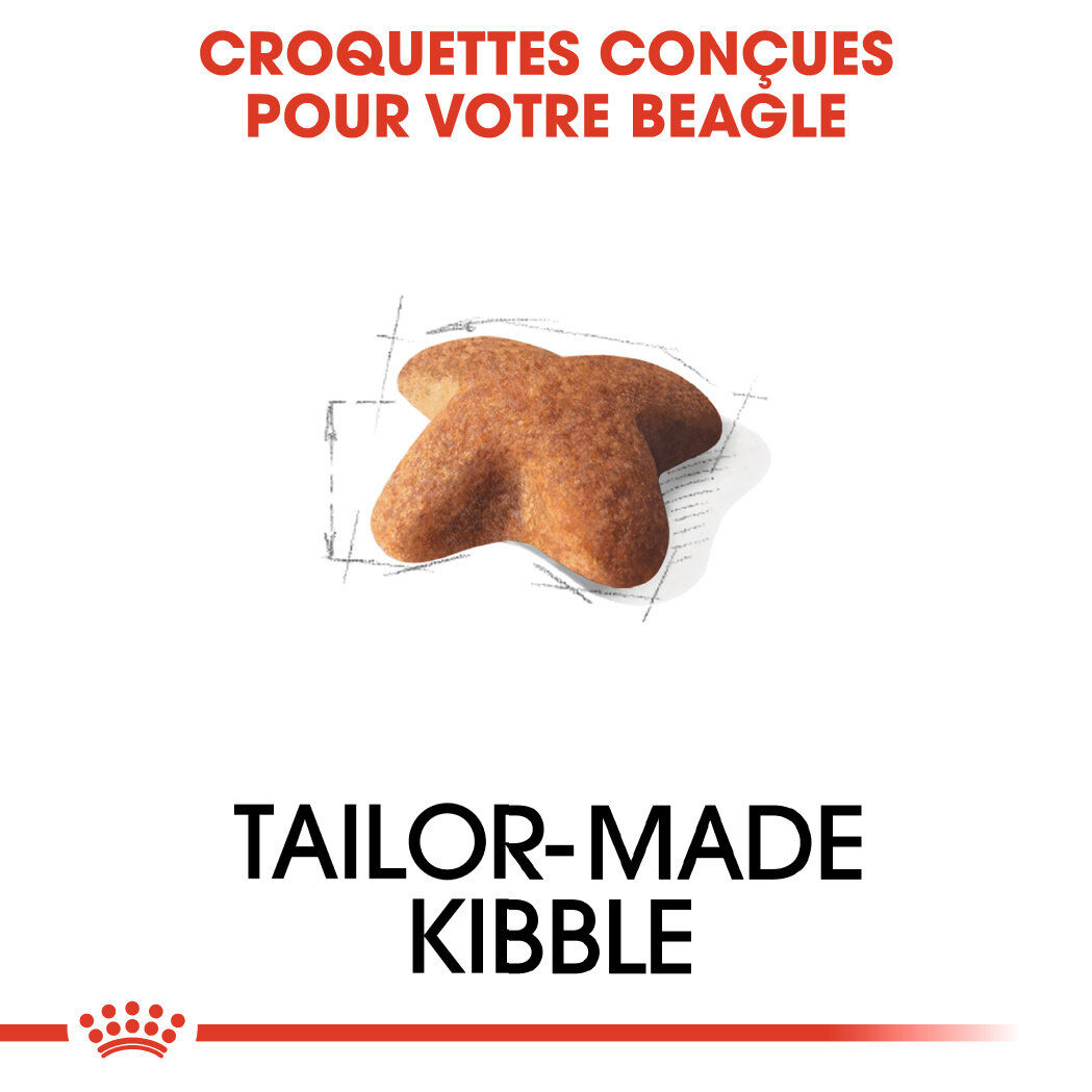 Royal Canin - Croquettes Beagle Adult pour Chien - 12Kg Image num&eacute;ro 3