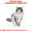 Royal Canin - Croquettes Norwegian Adult pour Chat - 2Kg Indicateur image numéro 2