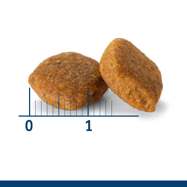 Nath - Croquettes Medium/Maxi Adult Sensitive au Poisson et Saumon pour Chien - 12Kg Image num&eacute;ro 5