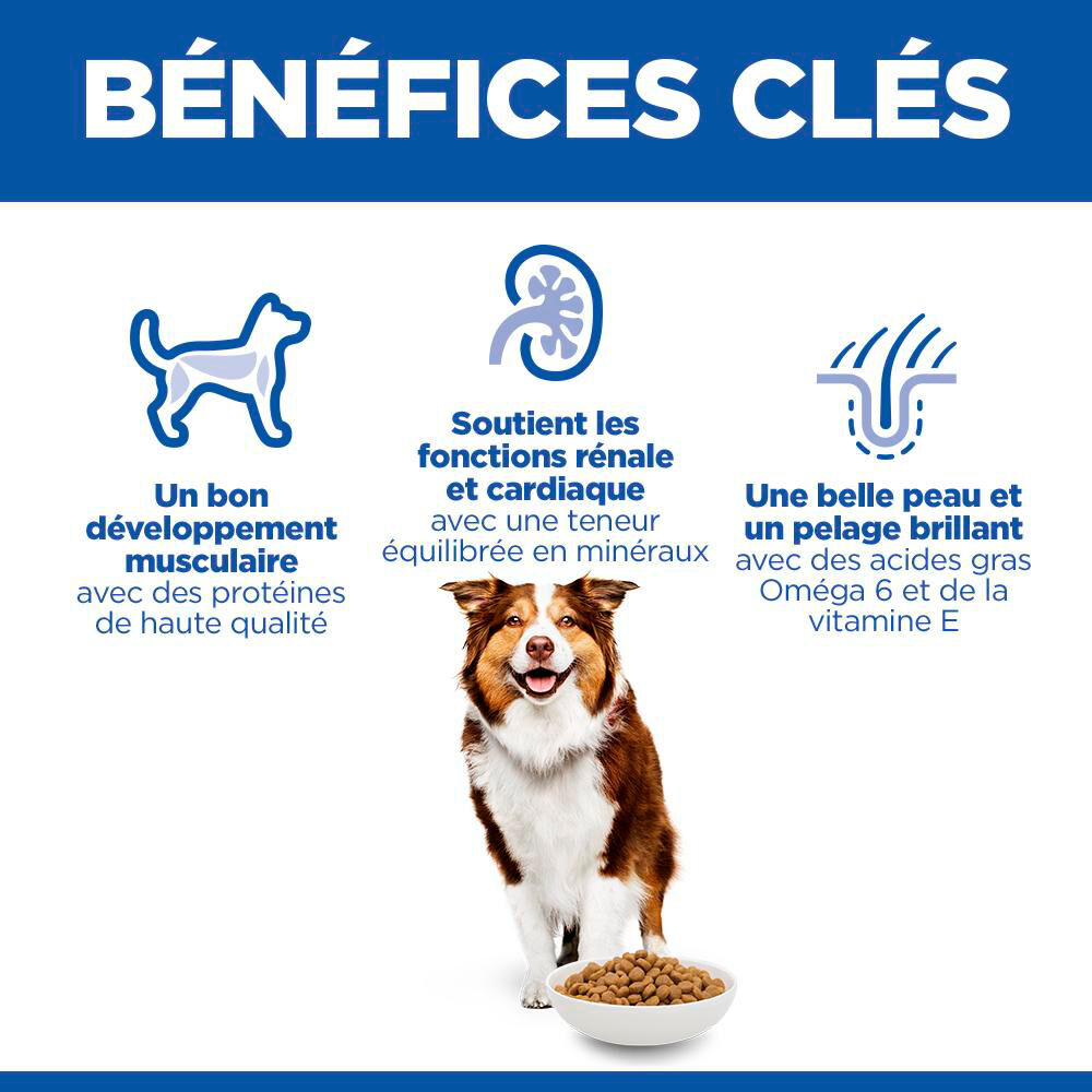 Hill's Science Plan - Mature Adult croquettes pour chien &acirc;g&eacute; au poulet - 2,5kg Image num&eacute;ro 7