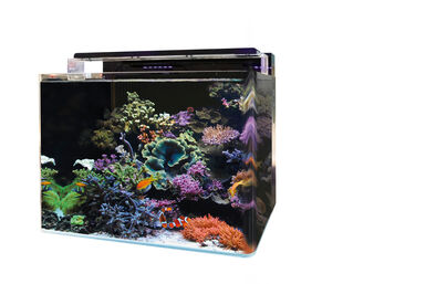Blue Marine - Aquarium Marin Reef 120 - 50x65x50cm