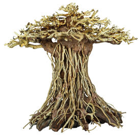 Superfish - Racine Bonsai Mushroom pour Aquarium - L