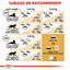 Royal Canin - Croquettes Norwegian Adult pour Chat - 2Kg Indicateur image numéro 6