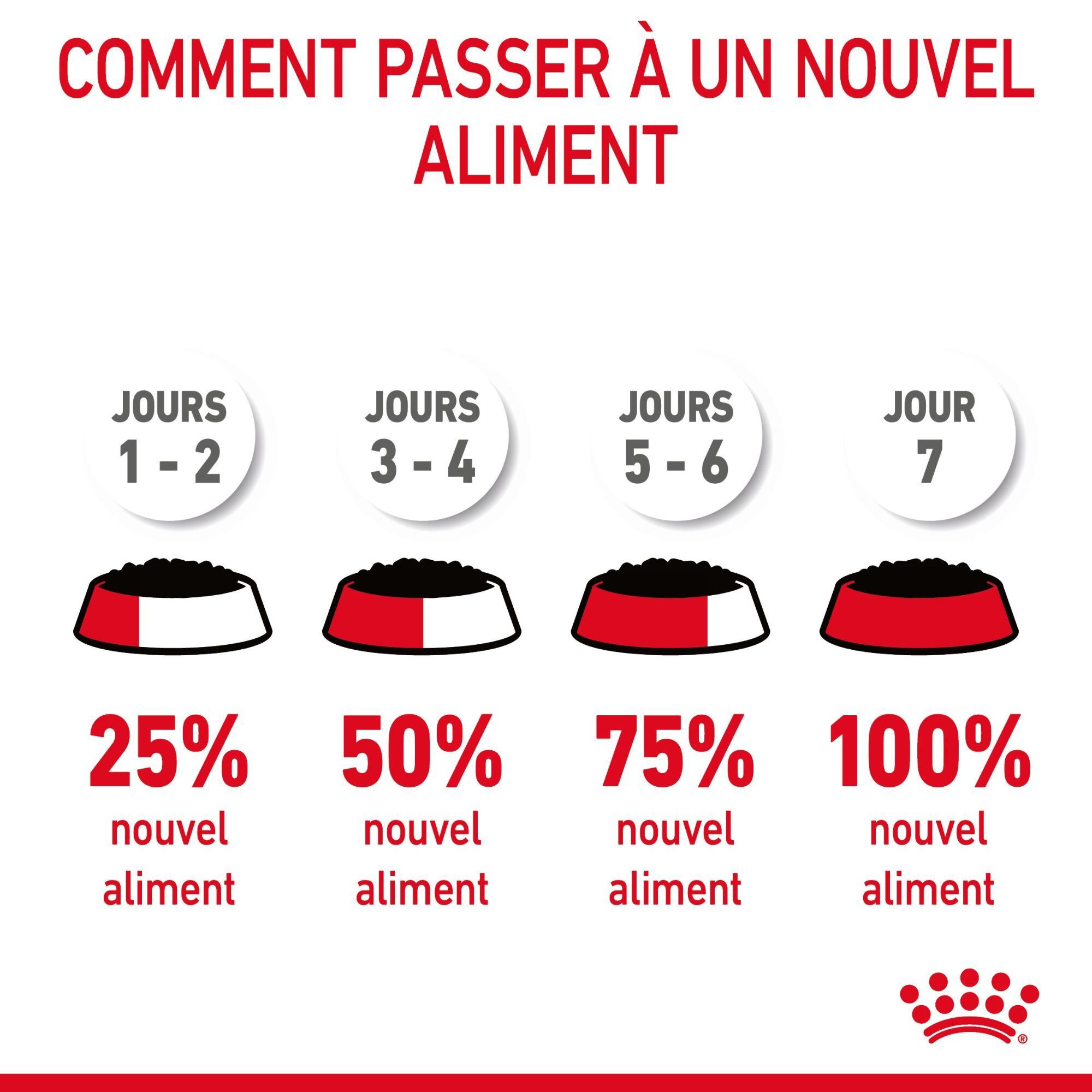 Royal Canin - Sachets Appetite Control Care en Gel&eacute;e pour Chat - 12x85g Image num&eacute;ro 9