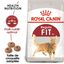 Royal Canin - Croquettes Fit 32 pour Chat Adulte - 400g Indicateur image numéro 2