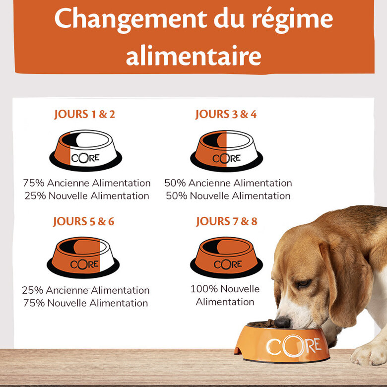 Wellness CORE - Croquettes Océan Saumon et Thon pour Chien - 10Kg Image numéro 5 Wellness CORE - Croquettes Océan Saumon et Thon pour Chien - 10Kg Image numéro 5