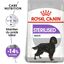 Royal Canin - Croquettes Maxi Sterilised pour Chien Adulte Stérilisé - 3Kg Indicateur image numéro 1