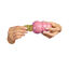 KONG - Friandises Snacks - S pour Chiot Indicateur image numéro 2