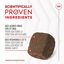 Royal Canin - Aliment complémentaire Adult Joint & Agieing Chews pour Chiens - 240g Indicateur image numéro 5