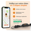 Weenect - Collier GPS XT Chiens - Noir Indicateur image numéro 7