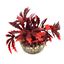 Labeo - Décoration Plante Artificielle Papyrus  pour Aquarium Indicateur image numéro 1