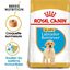 Royal Canin - Croquettes Labrador Junior pour Chiot - 12Kg Indicateur image numéro 1