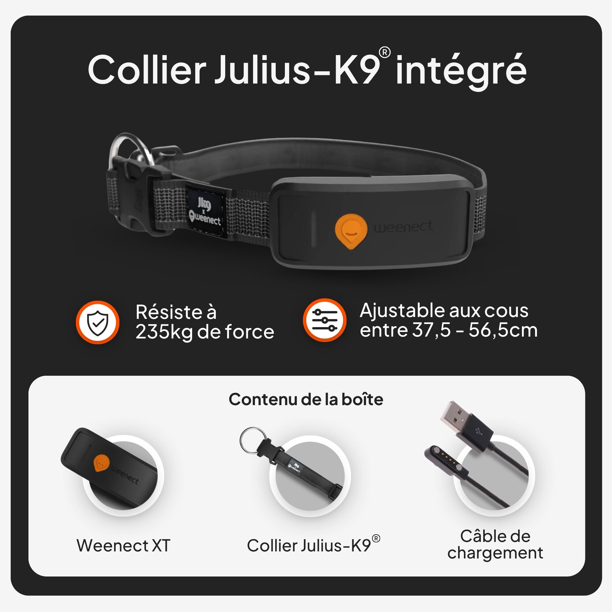 Weenect - Collier GPS XT Chiens - Noir Image num&eacute;ro 8