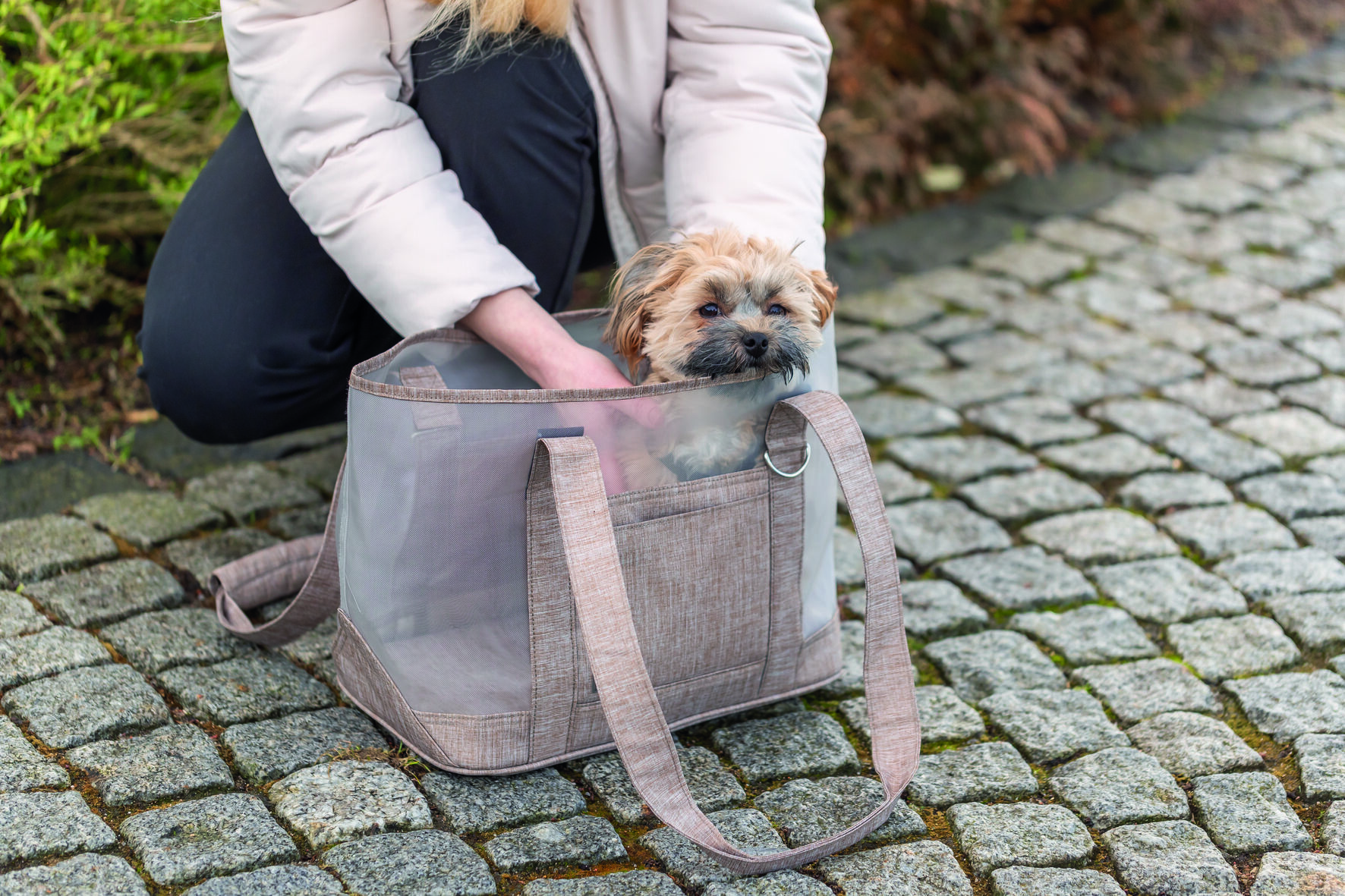 Trixie - Sac de Transport Mary Beige pour Chiens - 53x30x20cm Image num&eacute;ro 3