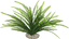 Labeo - Fond de décor - Plante Artificielle Aquarium Indicateur image numéro 2