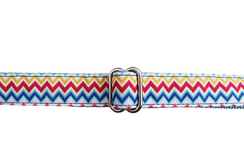 Gotoo - Harnais Zigzag pour Chien - XSS Image numéro 3 Gotoo - Harnais Zigzag pour Chien - XSS Image numéro 3