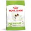 Royal Canin - Croquettes  X Small pour Chien Adulte de Petite Taille - 1,5Kg Indicateur image num&eacute;ro 1