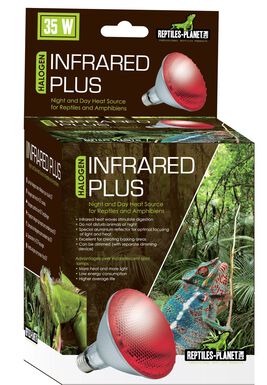 Reptiles Planet - Ampoule Chauffante Infrarouge Infrared Plus Halogen - 35W