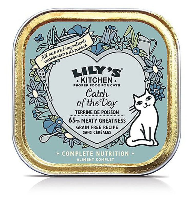 Lily's Kitchen - Barquette Terrine de Poisson pour Chats - 85g image number null