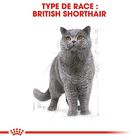 Royal Canin - Croquettes British Shorthair pour Chat Adulte - 2Kg image number null