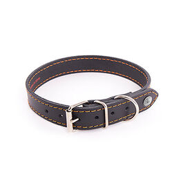 Martin Sellier - Collier Flash Noir/Orange pour Chiens