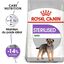 Royal Canin - Croquettes Mini Sterilised pour Chien Stérilisé - 8Kg Indicateur image numéro 1