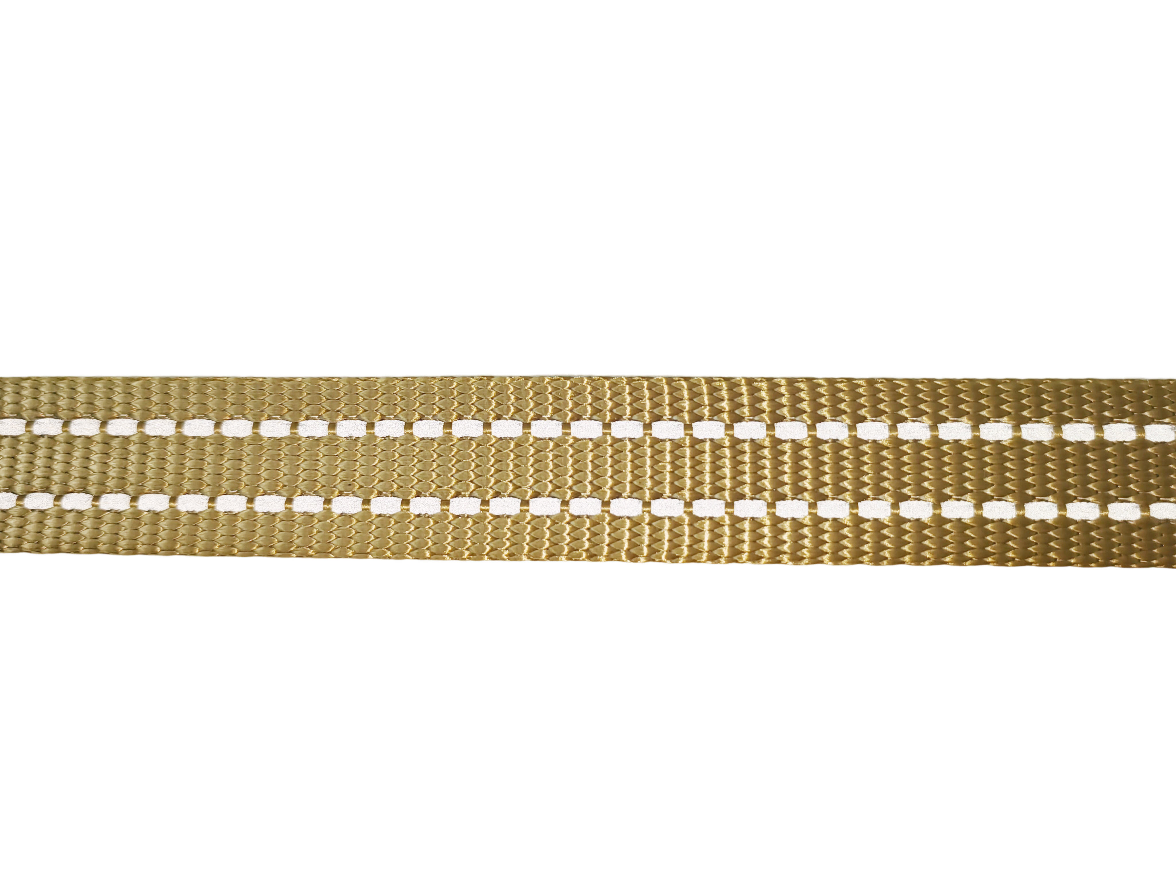 Gotoo - Laisse Essentials en Nylon Premium Beige pour Chien Image num&eacute;ro 4