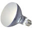 Zoomed - Ampoule Chauffante Powersun Uv Puv10 pour Terrarium - 100w Indicateur image numéro 2
