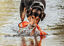 Hunter - Jouet Aqua Mindelo 52cm pour Chiens - Orange Indicateur image numéro 2