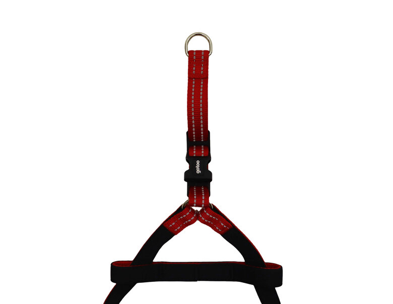 Gotoo - Harnais Essentials en Nylon Premium Rouge pour Chien - XS Image numéro 3 Gotoo - Harnais Essentials en Nylon Premium Rouge pour Chien - XS Image numéro 3