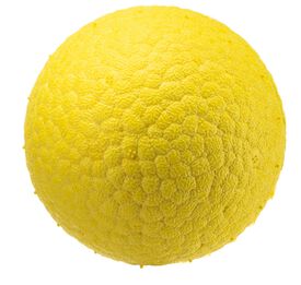 Ferplast - Balle Chewa Boing Jaune pour Chiens - M
