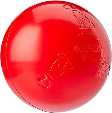 Company of Animals - Jouet Boomer Ball pour Chiens