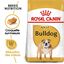 Royal Canin - Croquettes Bulldog pour Chien Adulte - 12Kg Indicateur image numéro 1