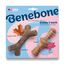 Benebone - Jouet Puppy Pack Maplestick-Zaggler Bacon Indicateur image numéro 1
