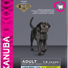 Eukanuba - Croquettes au Poulet pour Chien Adulte de Grande Taille - 15Kg image number null