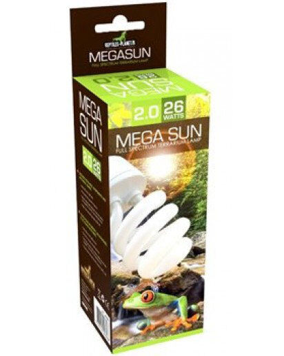 Animalis - Kit Gecko - 50cm Image num&eacute;ro 9