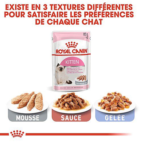 Kitten mousse hot sale royal canin