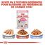 Royal Canin - Sachets Kitten en Mousse pour Chaton - 12x85g Indicateur image numéro 7