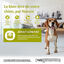 Wellness CORE - Croquettes Light à la Dinde pour Chien - 1,8Kg Indicateur image numéro 2
