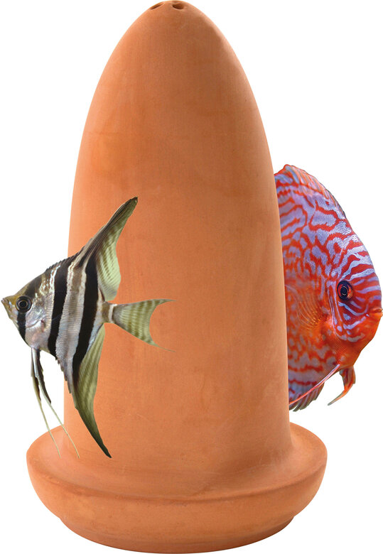 Superfish - Cône de Reproduction pour Discus et Scalaires Image numéro 2 Superfish - Cône de Reproduction pour Discus et Scalaires Image numéro 2