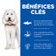 Hill's Science Plan - Hypoallergenic Adult Croquettes Pour Chien Adulte Au Saumon  - 12kg Indicateur image numéro 3