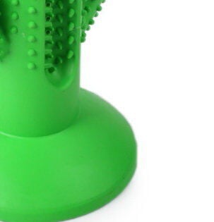 Tootoy! - Jouet Dentaire Cactus - L Image num&eacute;ro 4