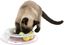 Trixie - Jouet Junior Kitten Circle pour Chat - 24cm Indicateur image numéro 2